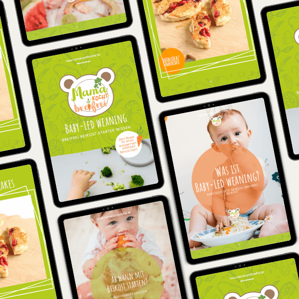 Mama kocht breifrei - BLW Ebook (2)